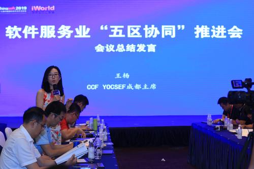 王杨总结发言 王杨总结发言